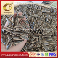 High Quality Sunflower Seeds From China